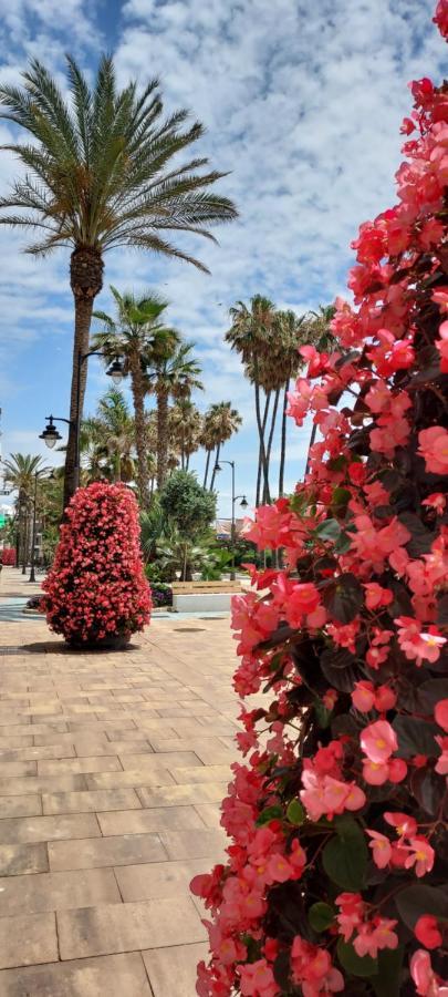 Apartamento A 150 Metros De La Playa Y Del Puerto Deportivo Estepona Exterior foto